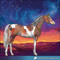 Horse Color:Nacre Silver Bay Tobiano