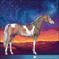 Horse Color:Nacre Silver Bay Tobiano