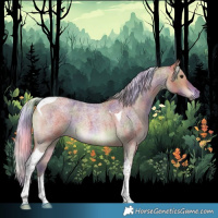 Horse Color:Nacre Silver Bay Roan Tobiano 