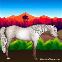Horse Color:Gray Silver Blue Roan Pearl 