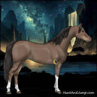 Horse Color:Liver Red Dun Tobiano Rabicano 