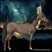 Horse Color:Liver Red Dun Rabicano 