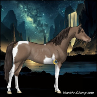 Horse Color:Liver Red Dun Tobiano Rabicano 