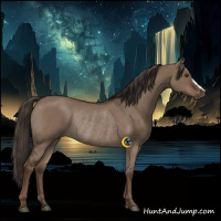 Horse Color:Liver Red Dun Rabicano 