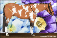 Horse Color:White Spotted Bay 