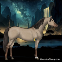 Horse Color:Liver Red Dun Rabicano 