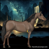 Horse Color:Liver Red Dun Rabicano 