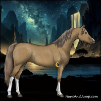 Horse Color:Chocolate Palomino Dun Rabicano