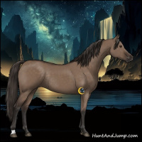 Horse Color:Liver Red Dun Rabicano 