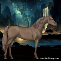 Horse Color:Liver Red Dun Rabicano 