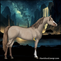 Horse Color:Liver Red Dun Rabicano 
