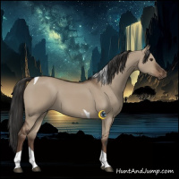 Horse Color:Liver Red Dun Tobiano Rabicano 