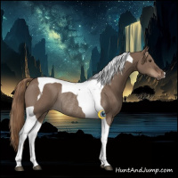 Horse Color:Liver Red Dun Tobiano Rabicano 