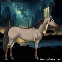 Horse Color:Liver Red Dun Rabicano 