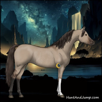 Horse Color:Liver Red Dun Rabicano 