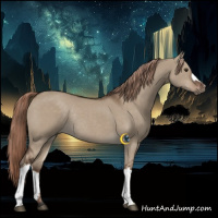 Horse Color:Liver Red Dun Rabicano 