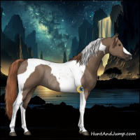 Horse Color:Liver Red Dun Tobiano Rabicano 