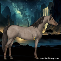 Horse Color:Liver Red Dun Roan Rabicano 