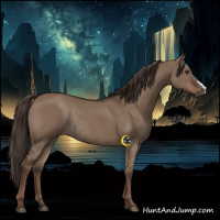 Horse Color:Liver Red Dun Rabicano 