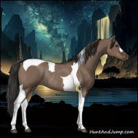 Horse Color:Liver Red Dun Tobiano Rabicano 