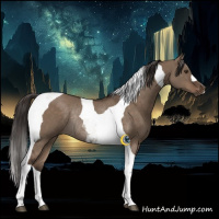 Horse Color:Liver Red Dun Tobiano Rabicano 