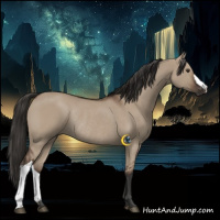 Horse Color:Liver Red Dun Rabicano 