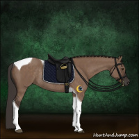 Horse Color:Liver Red Dun Tobiano Rabicano 