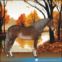 Horse Color:Liver Chestnut Mushroom Sabino Tobiano Rabicano 