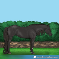 Horse Color:Liver Chestnut  and Liver Chestnut 