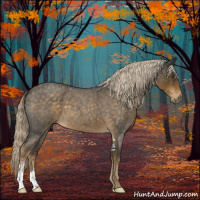 Horse Color:Chocolate Palomino Roan Sabino 