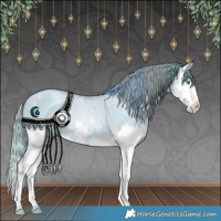 Horse Color:Watercolor Smoky Grullo Pearl Sabino Splash 
