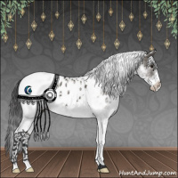 Horse Color:White Spotted Grullo Appaloosa 