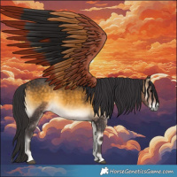 Horse Color:Buckskin Onyx Rabicano 