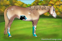Horse Color:Red Onyx Frame