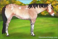 Horse Color:Bay Ice Onyx 