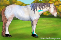 Horse Color:Bay Ice Pearl Onyx 