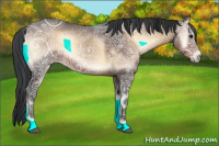 Horse Color:Brown Ice Onyx 