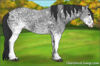 Horse Color:White Spotted Black Ice 