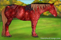 Horse Color:ERROR: UNKNOWN ANOMALY