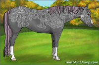 Horse Color:Painted Black Ice 