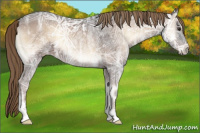Horse Color:Liver Red Onyx Ice 