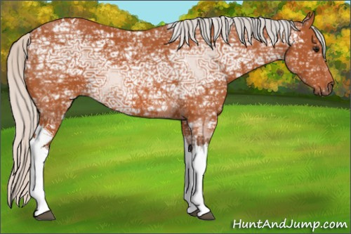 Horse Color:Silver Bay Ice Tobiano 