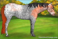 Horse Color:Black Ice 