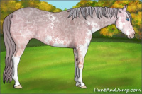 Horse Color:Chestnut Ice Splash 
