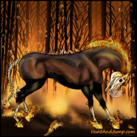Horse Color:Void Brown Splash 