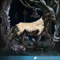 Horse Color:Buckskin Dun Sabino Rabicano 