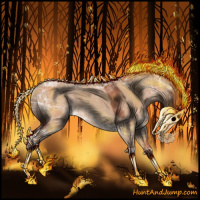 Horse Color:Brown Ice Dun Rabicano