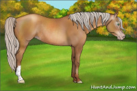 Horse Color:Gray Silver Amber Champagne Rabicano 