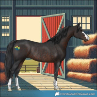 Horse Color:Brown Rabicano 