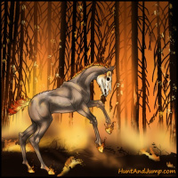 Horse Color:Void Liver Chestnut Pearl Rabicano 